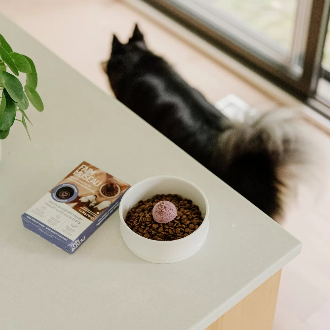 Blueberry Frozen Yogurt Meal Topper Pops