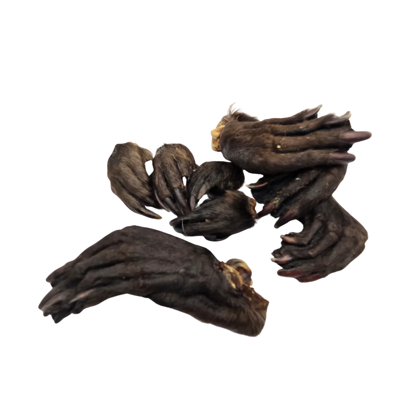 Dehydrated Beaver Feet