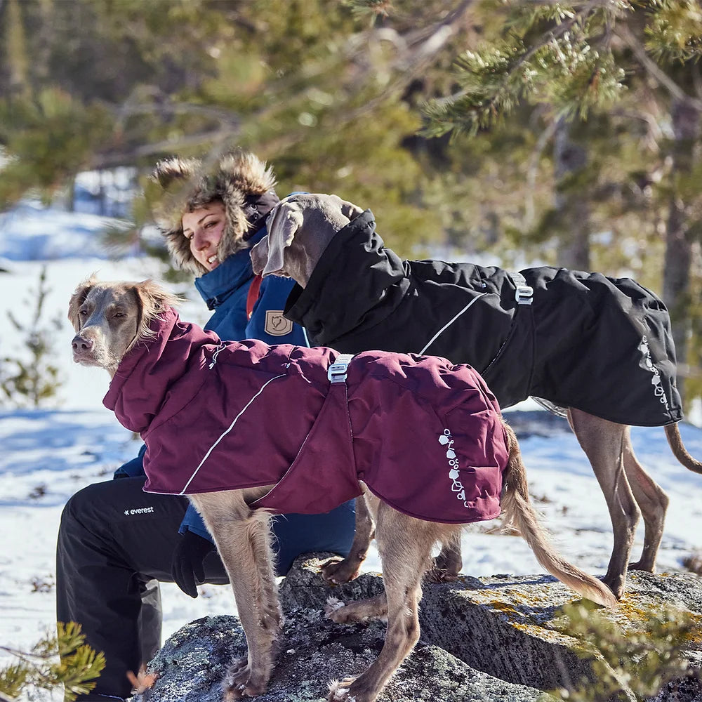 Extreme Warmer III ECO - Eggplant