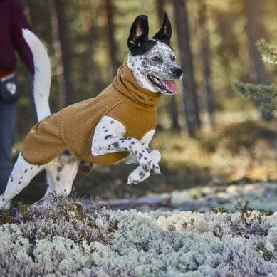 Warming Midlayer Eco Dog Jacket *FINAL SALE*