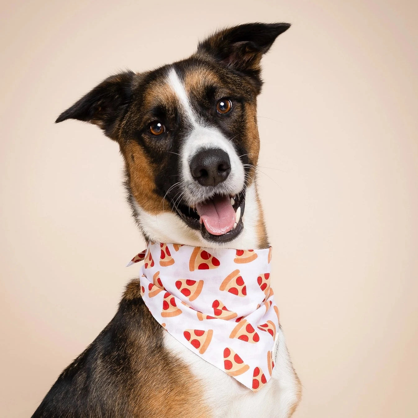Pizza Bandana