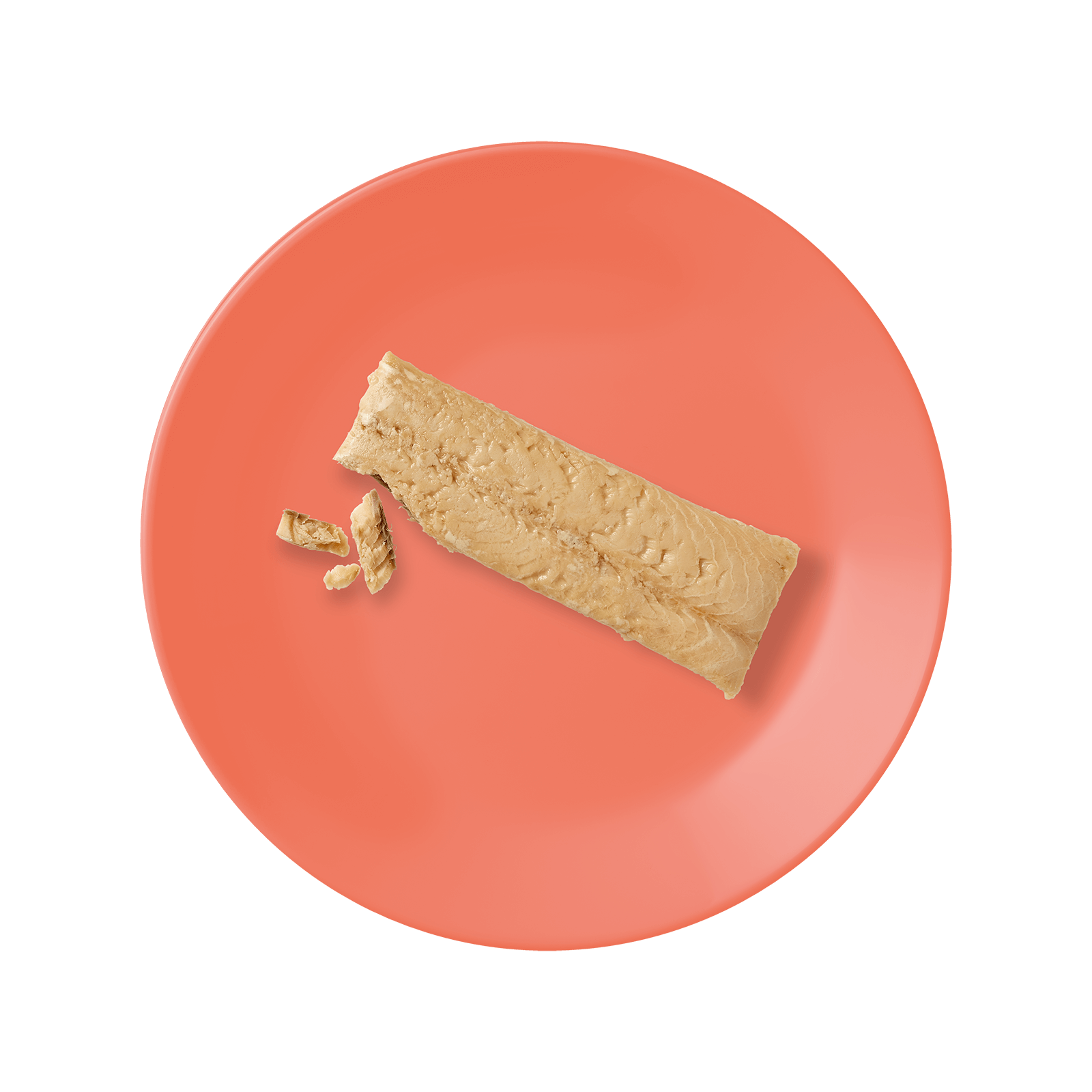 Salmon Filet Treat