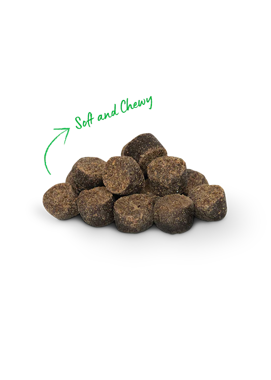 Be Good Bites - Insect & Wholesome Grains Treats