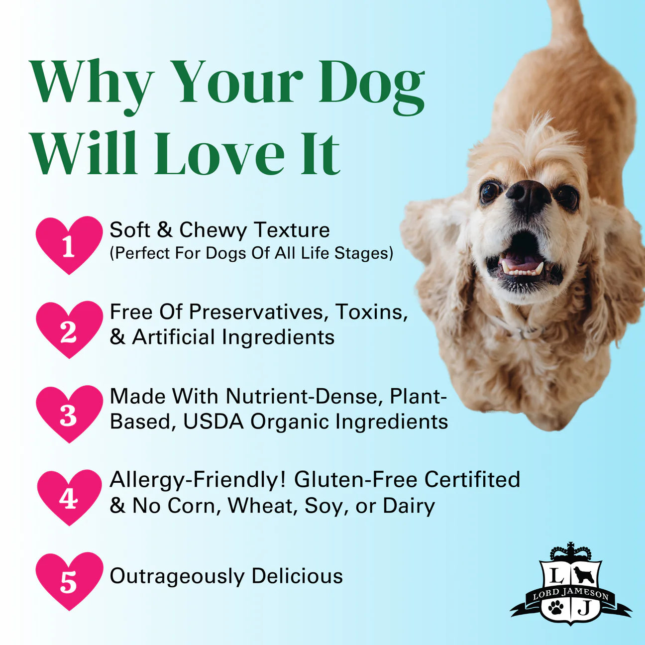 Coco Crush Organic Dog Treats