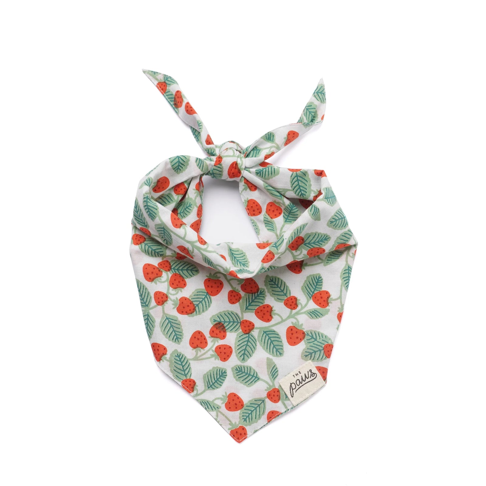 Henley Strawberry Bandana
