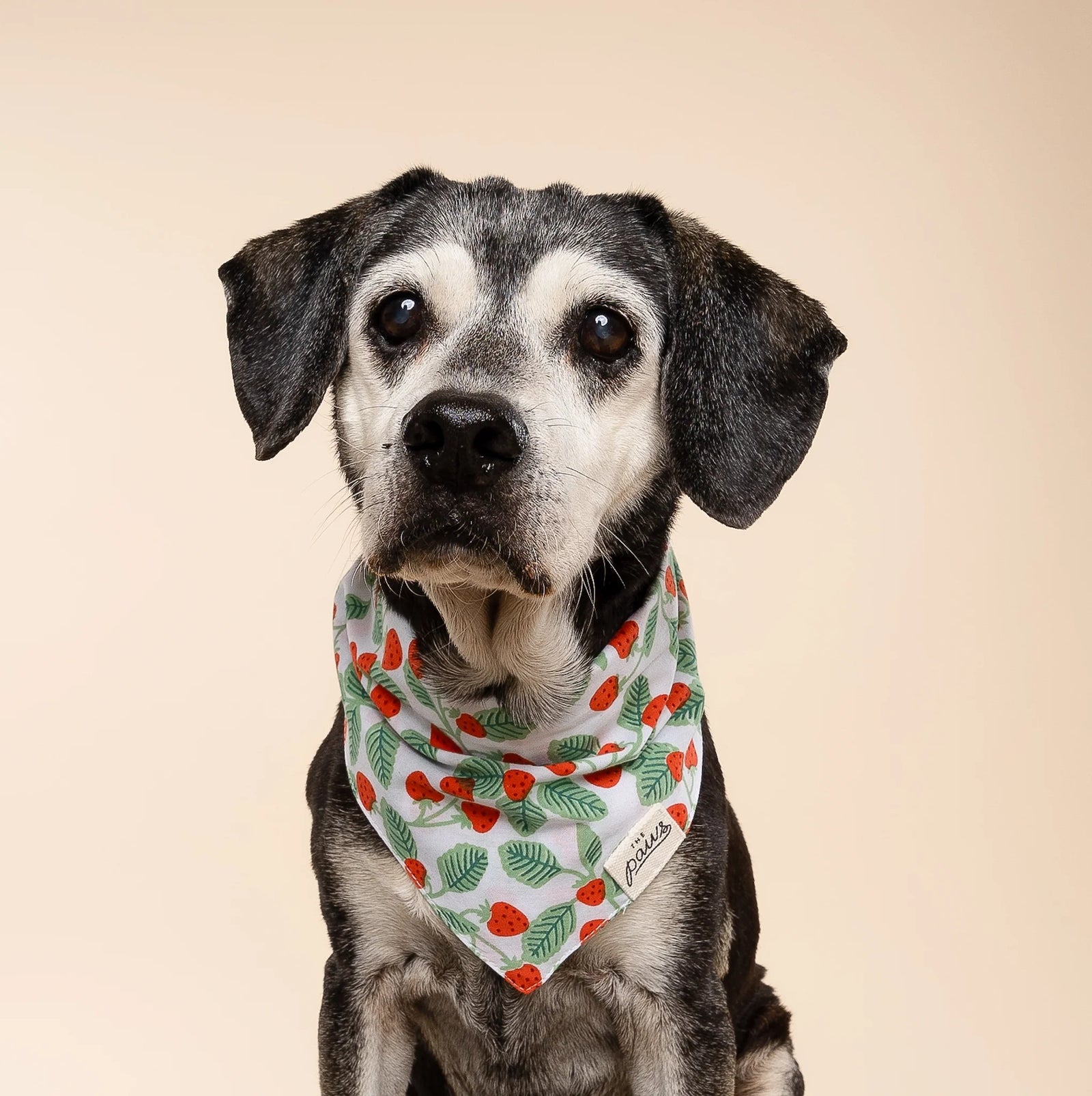 Henley Strawberry Bandana