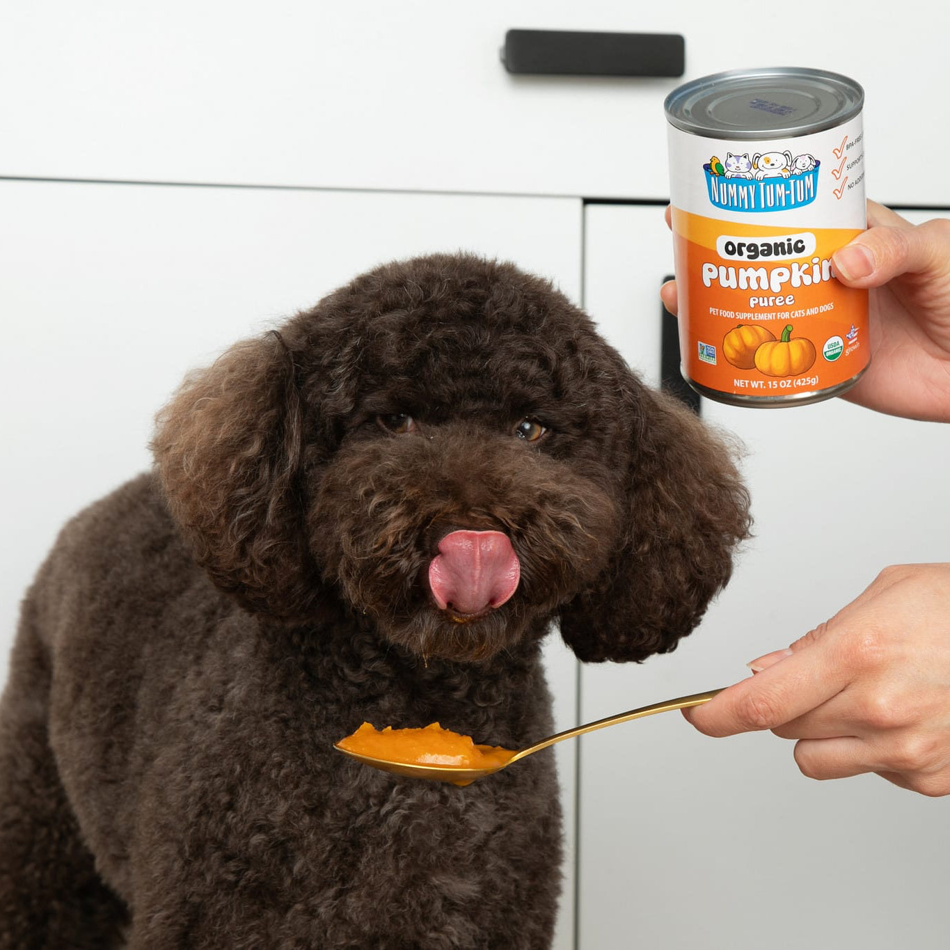 Organic Pumpkin Puree