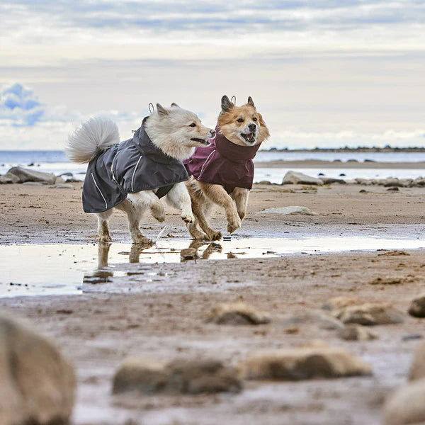Mudventure Dog Coat ECO - Blackberry