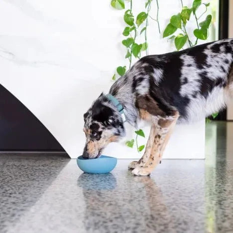 Silicone Feeding Bowl