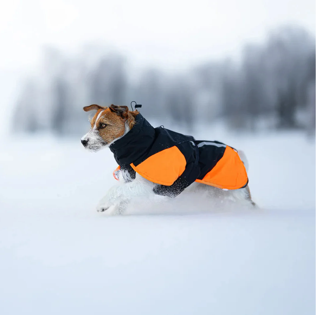 Glacier Jacket 3.0 - Orange & Black