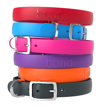 BOND Collar - Tangerine *FINAL SALE*