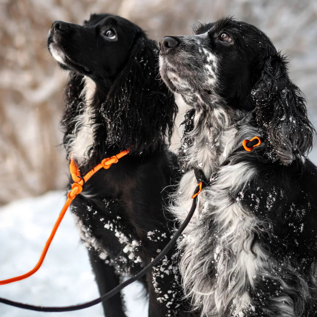Retriever Leash (Slip Leash)