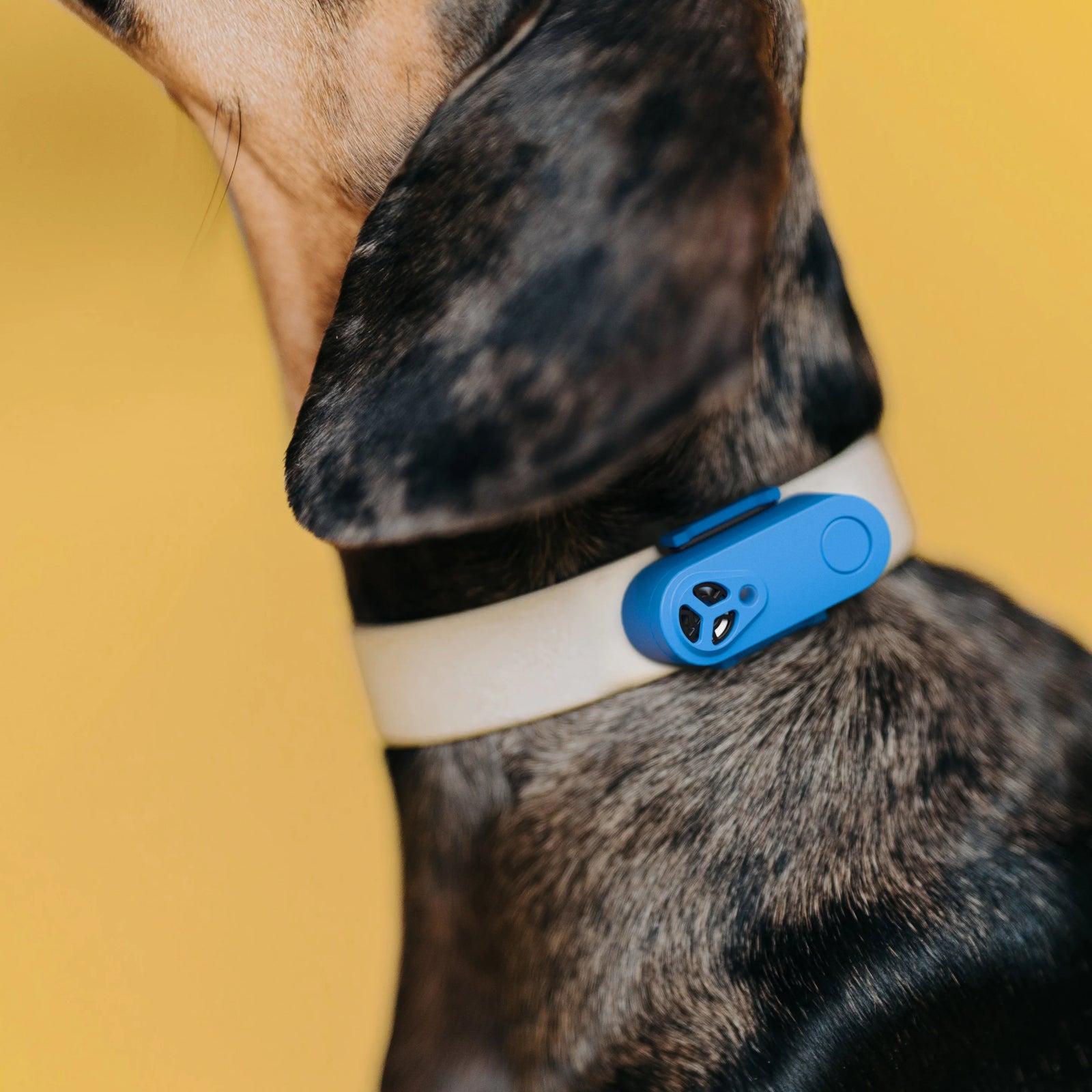 TICKLESS® Mini Chemical-free Tick and Flea Device, Rechargeable