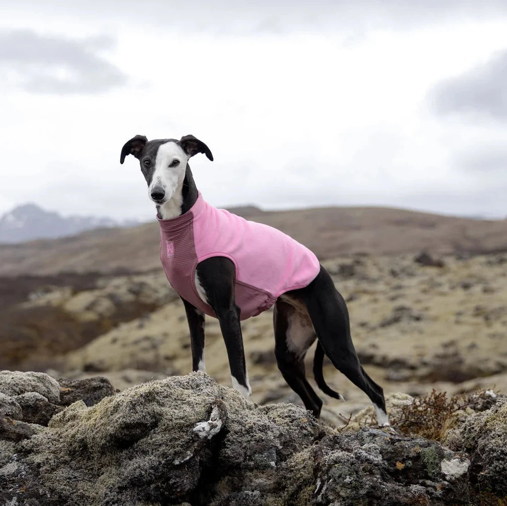 Trail Quest Fleece Pullover - Mauve