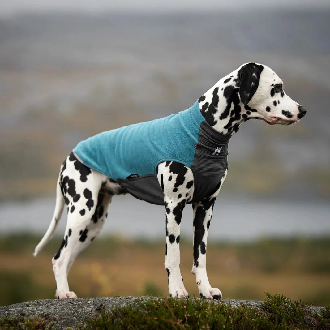 Trail Quest Fleece Pullover - Teal