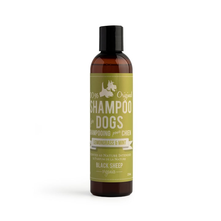 Lemongrass & Mint Shampoo
