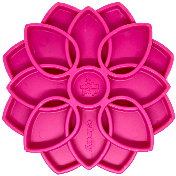 Mandala Design eTray Enrichment Tray