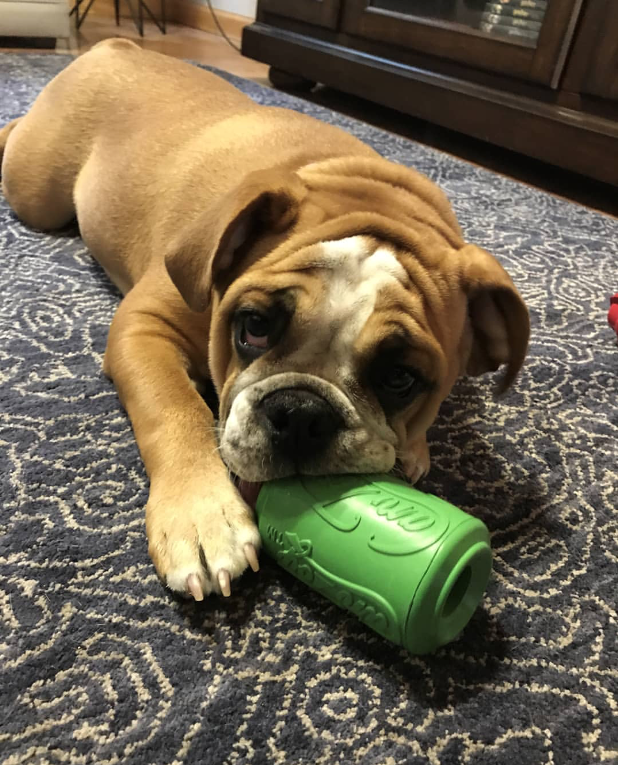 SODAPUP Can Toy