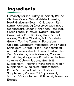 Homestead Turkey & Chicken Dry Cat Food