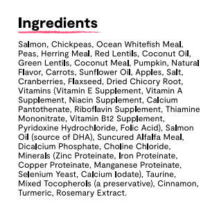 Wild-Caught Salmon Grain-Free Dry Dog Food