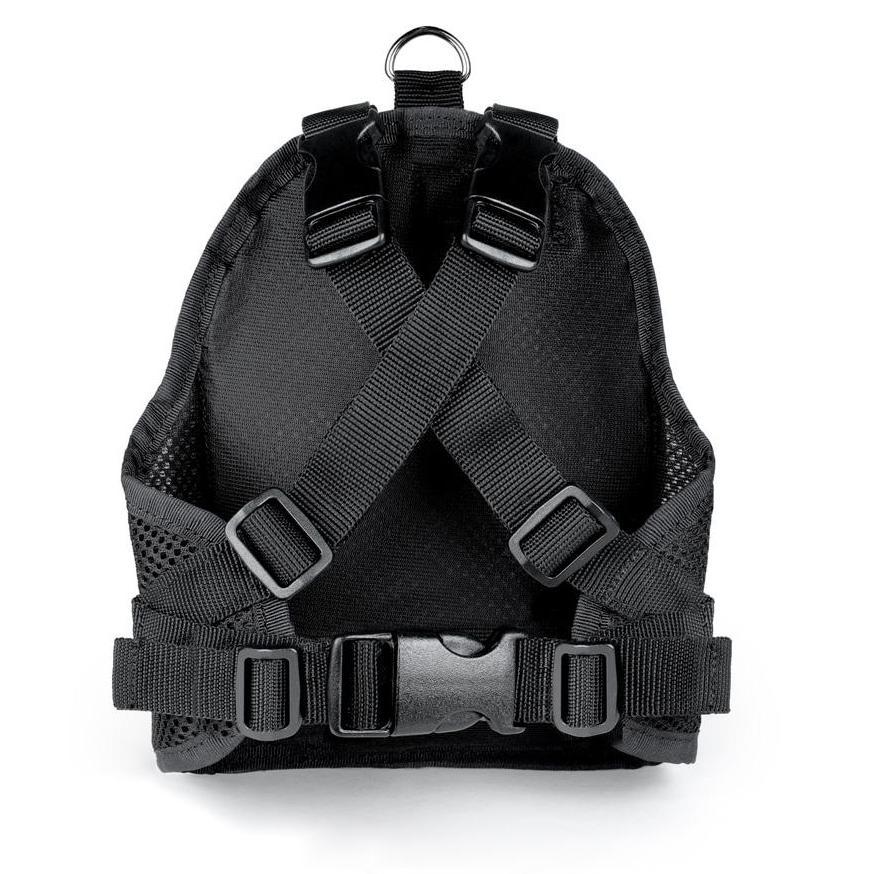 Purple Backpack