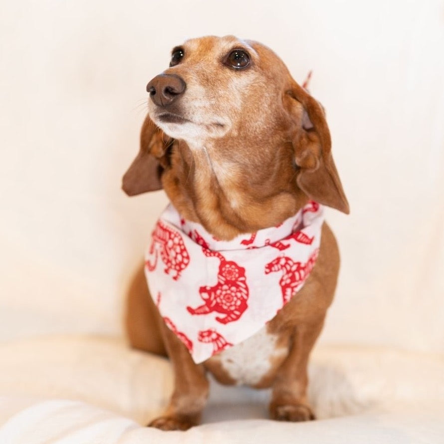 Tiger Bandana *FINAL SALE*