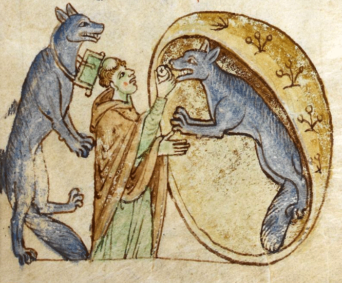 Guardians of the Mist: The Forgotten Irish Werewolves and the Ancient Bond Between Human and Hound