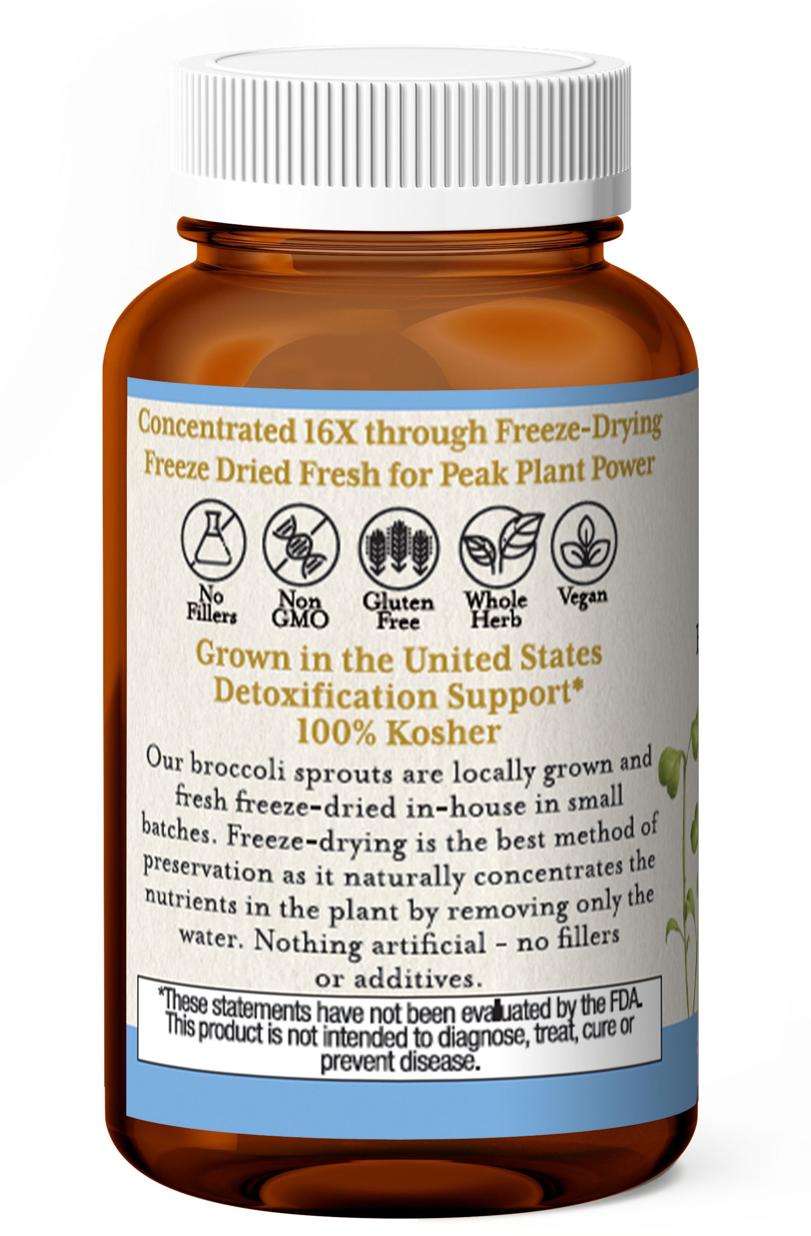 Broccoli Sprouts - Powerful Cellular Support