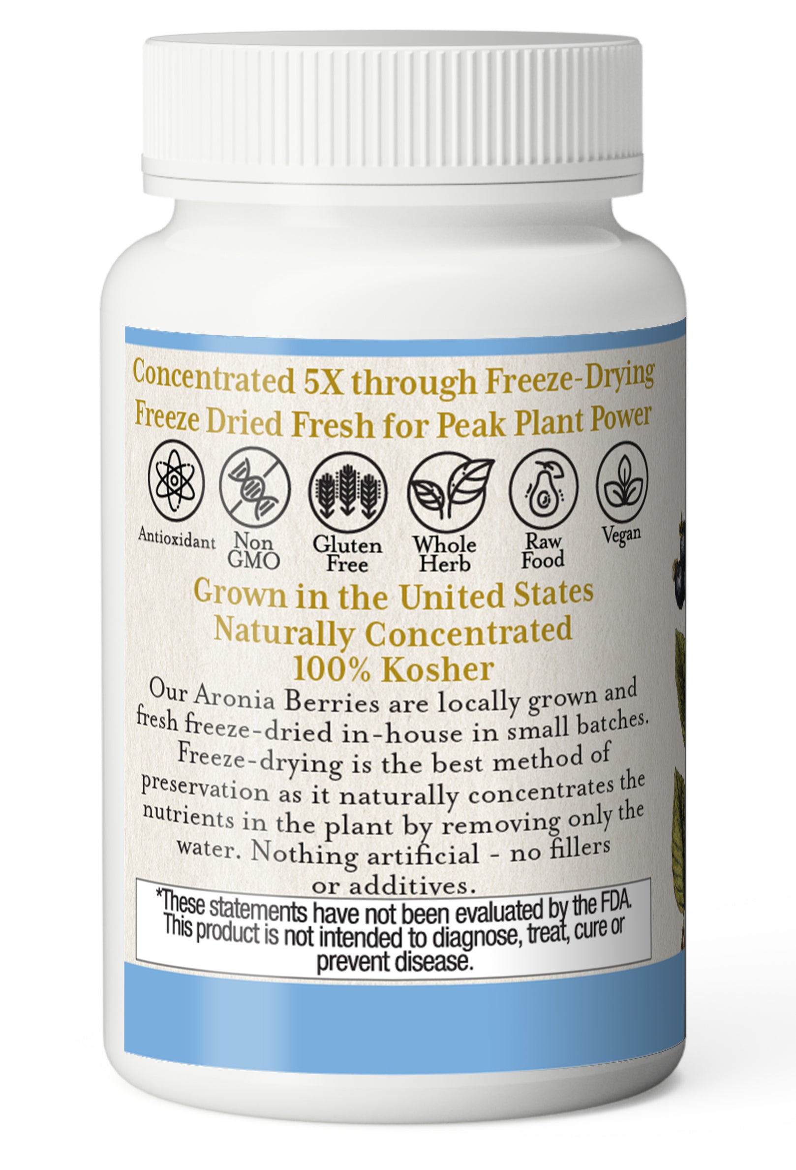 Best Freeze Drier : Unleash the Power of Preservation