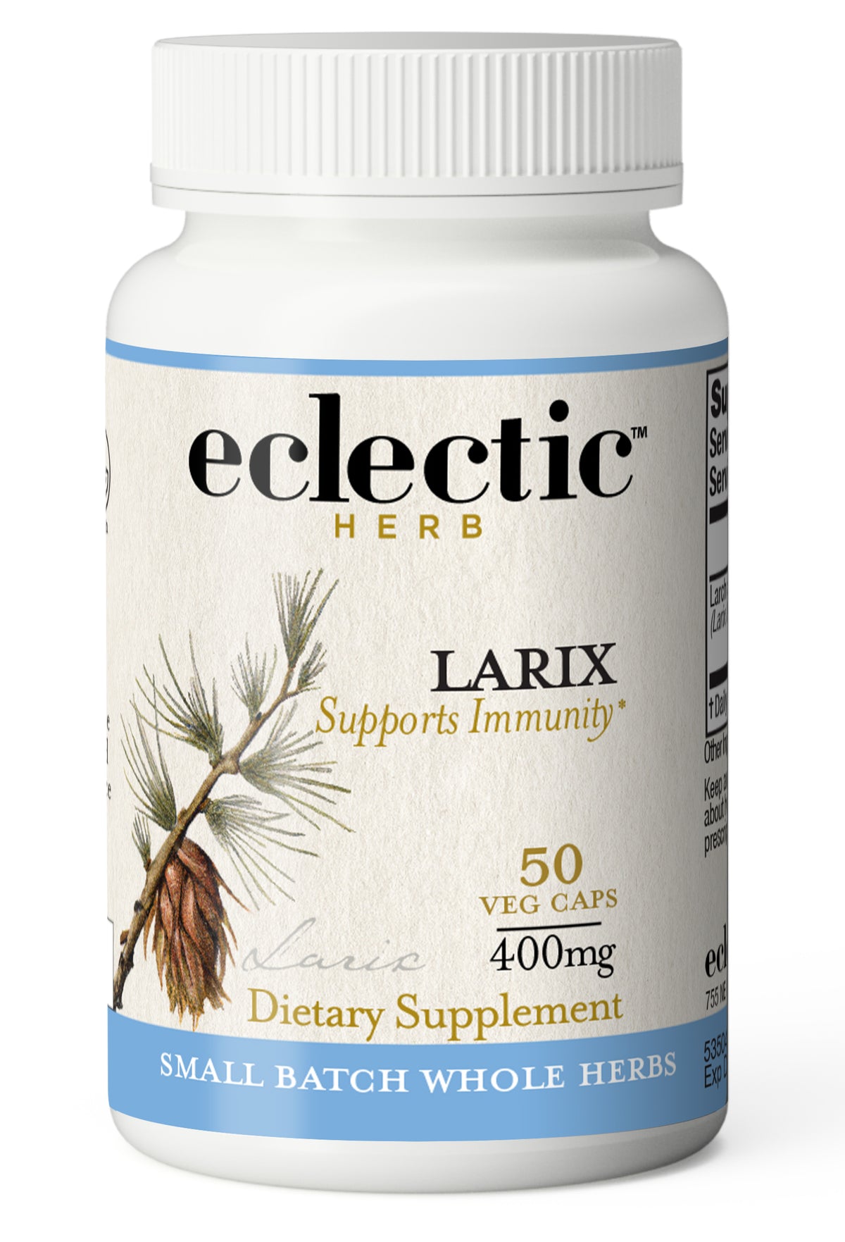 Larix (Larch) - Immunity Powerhouse