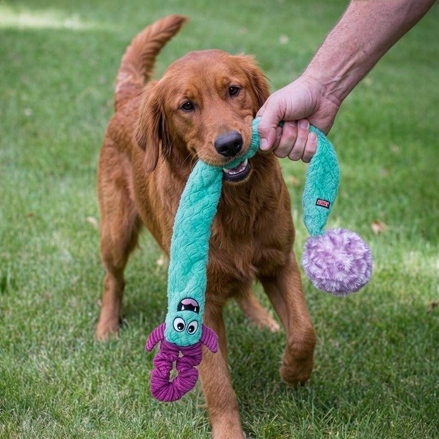 Woozles Tug n Chase