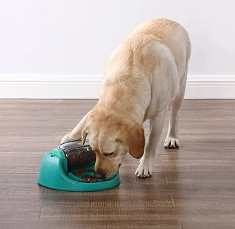 Spin N Eat - Dog Puzzle & Feeder In One