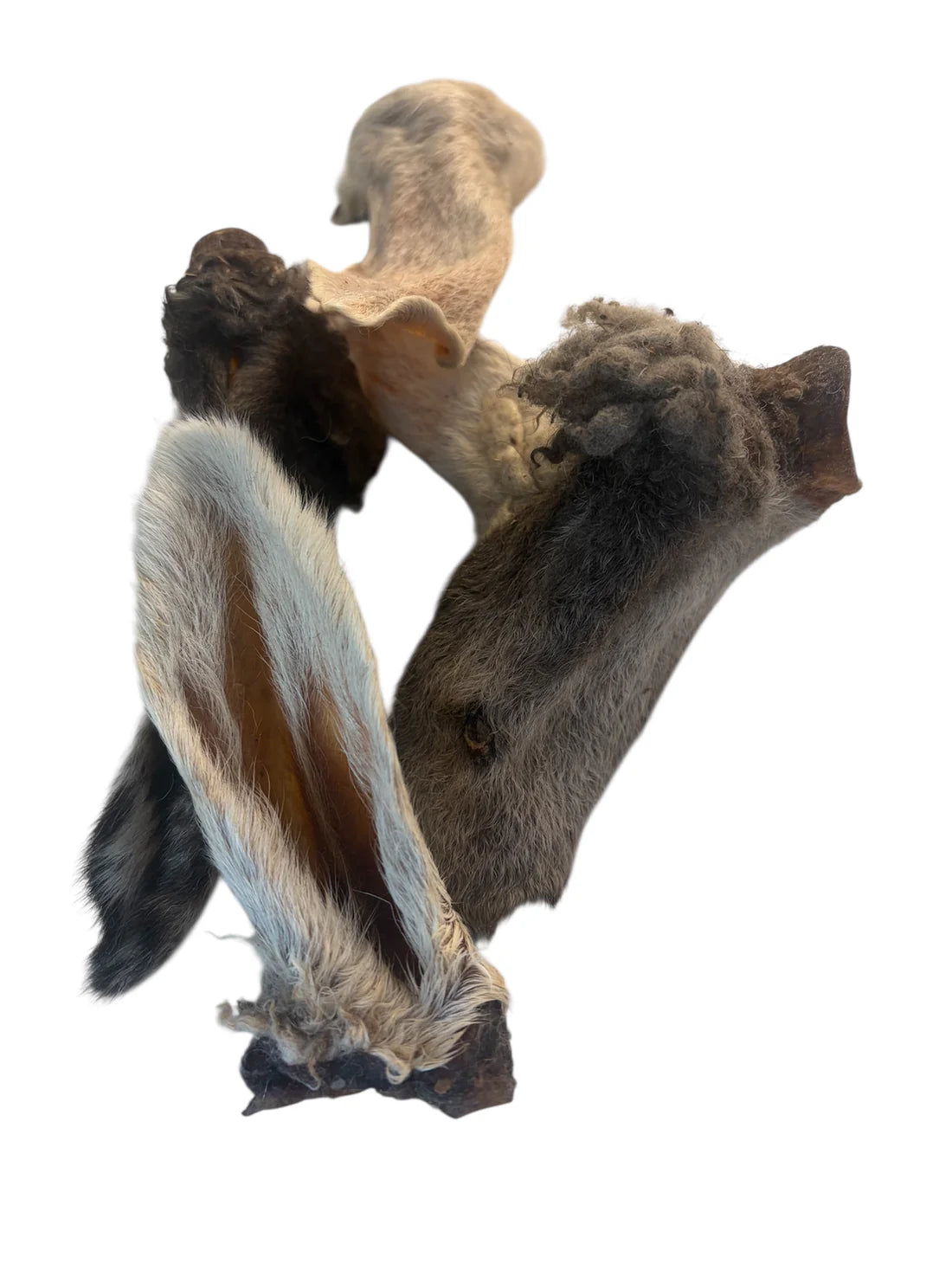 Dehydrated Furry Lamb Ear