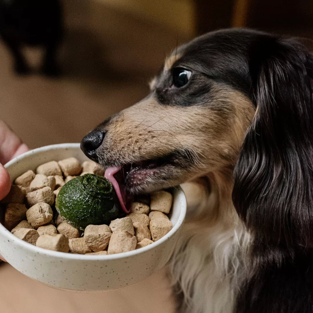Green Smoothie Meal Topper Pops