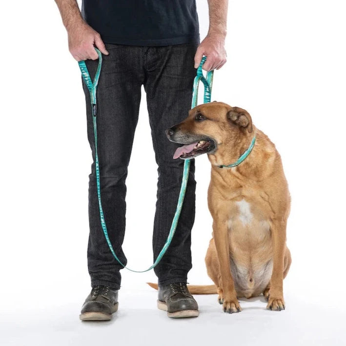 GreatEscape React Dual-Handle Leash