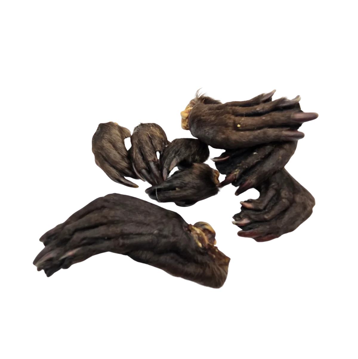 Dehydrated Beaver Feet