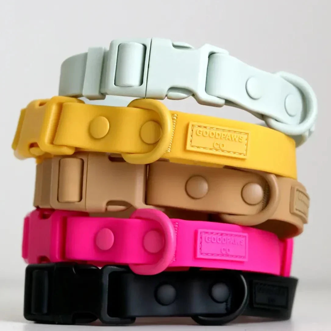 Soft-Touch Waterproof Dog Collar - Mint Green *FINAL SALE*