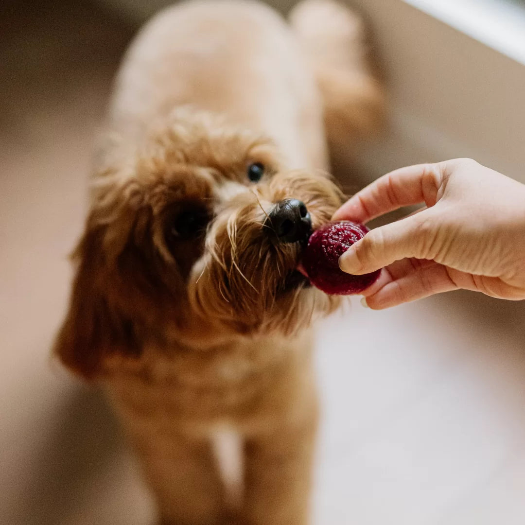 Berry Delight Meal Topper Pops