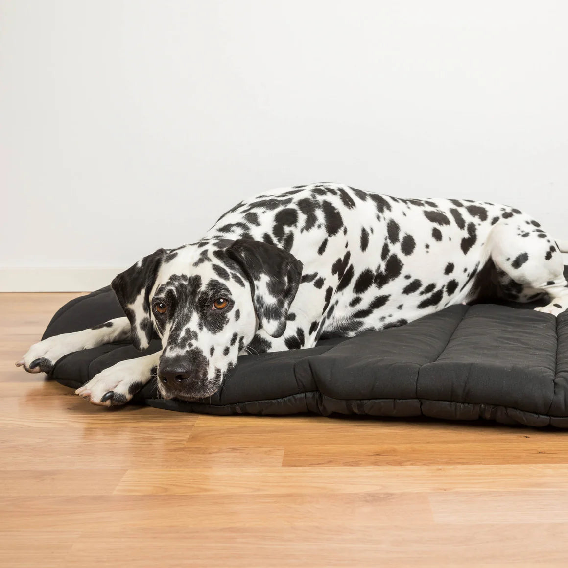 Therapeutic Dog Travel Mattress