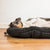 Therapeutic Dog Travel Mattress