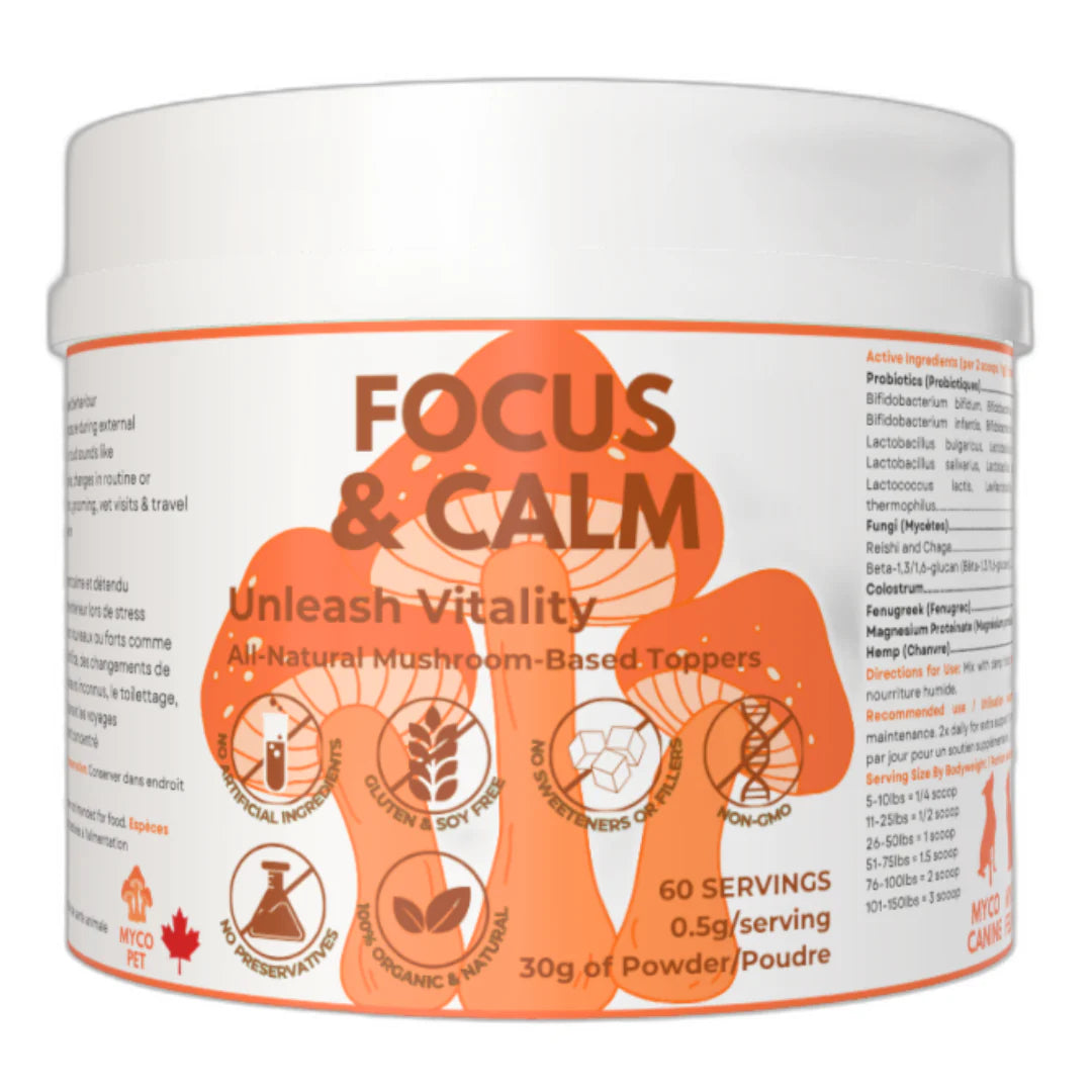 Focus &amp; Calm All Natural Mushroom Based Supplement