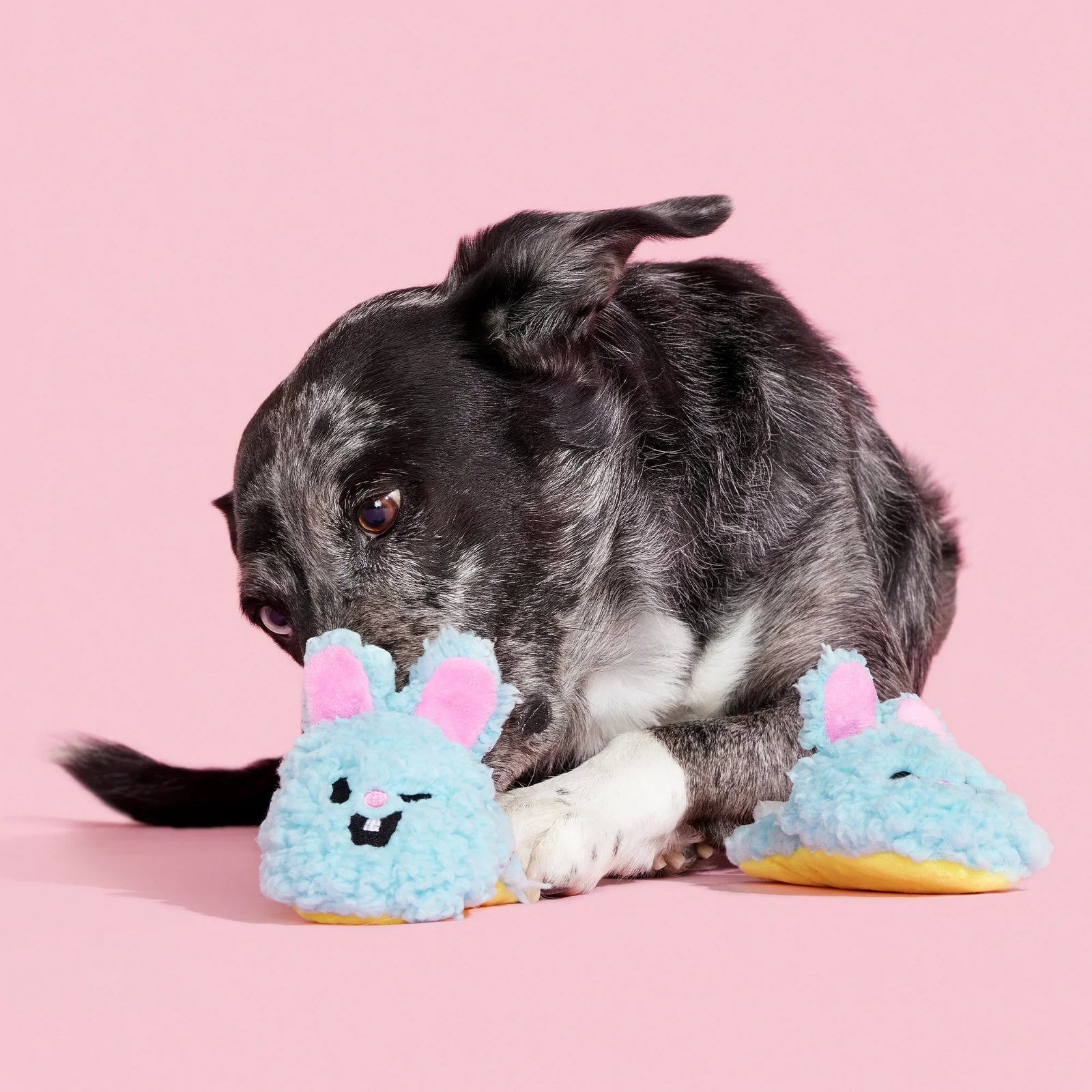 Yippy & Skippy Slippies with Squeaker & Crazy Crinkles