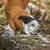 Warming Midlayer Eco Dog Jacket