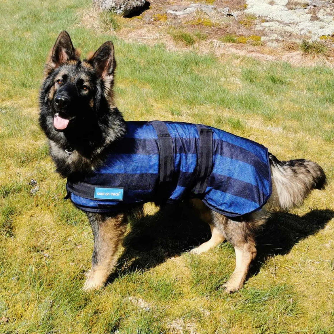 Dog jacket german shepherd hotsell