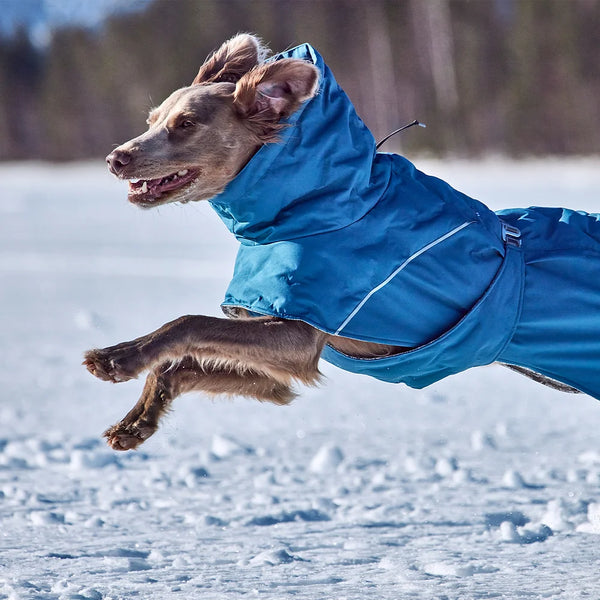 Extreme Warmer III ECO BilBerry