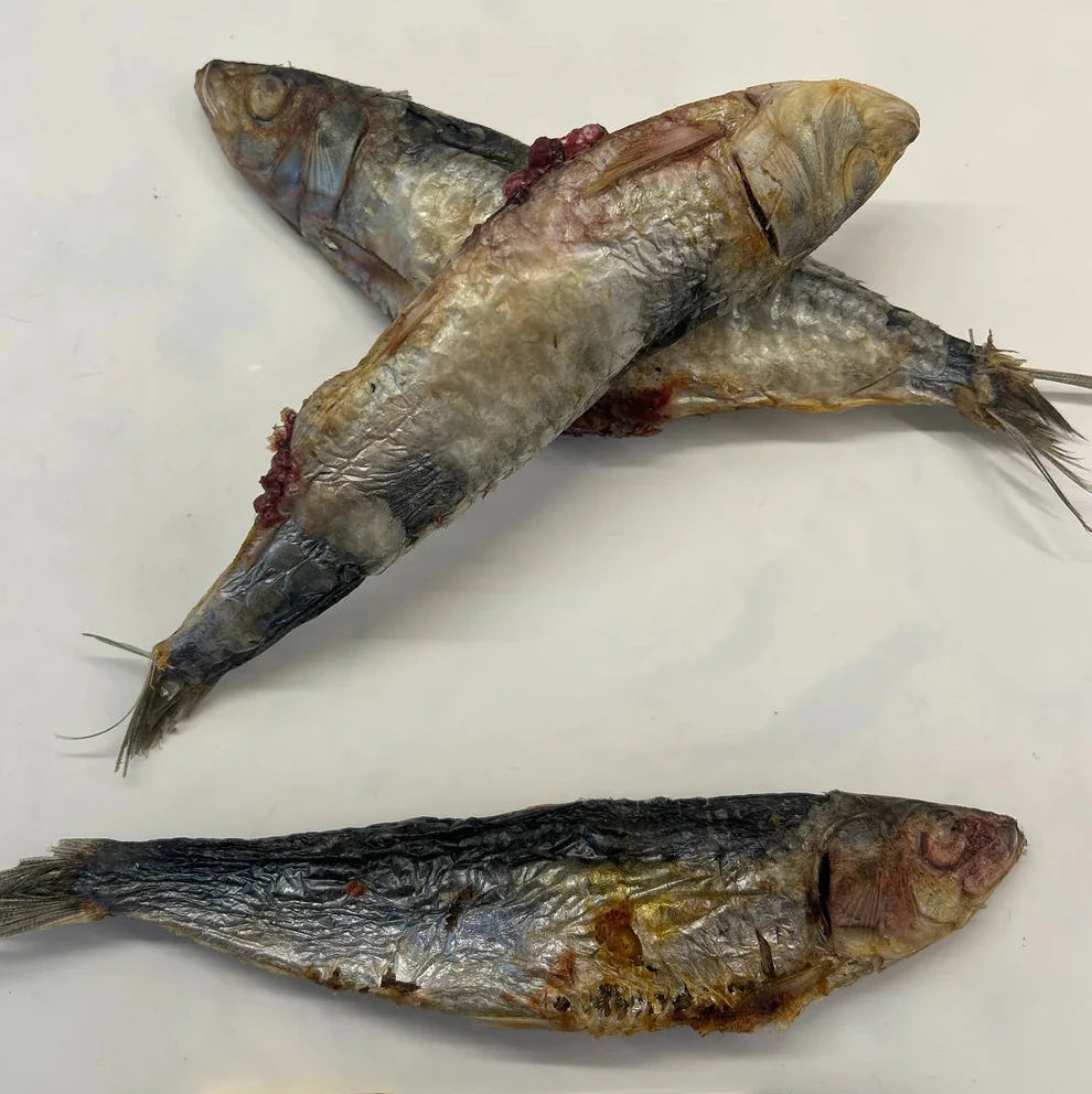 Freeze Dried Whole Sardines