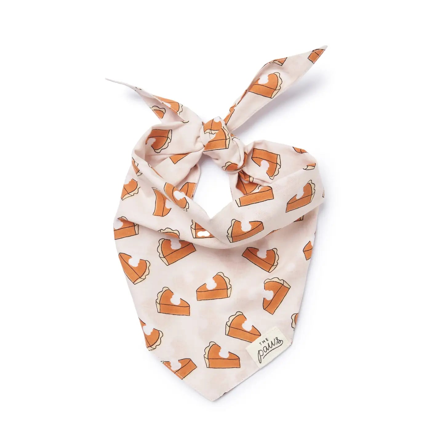 Pumpkin Pie Bandana