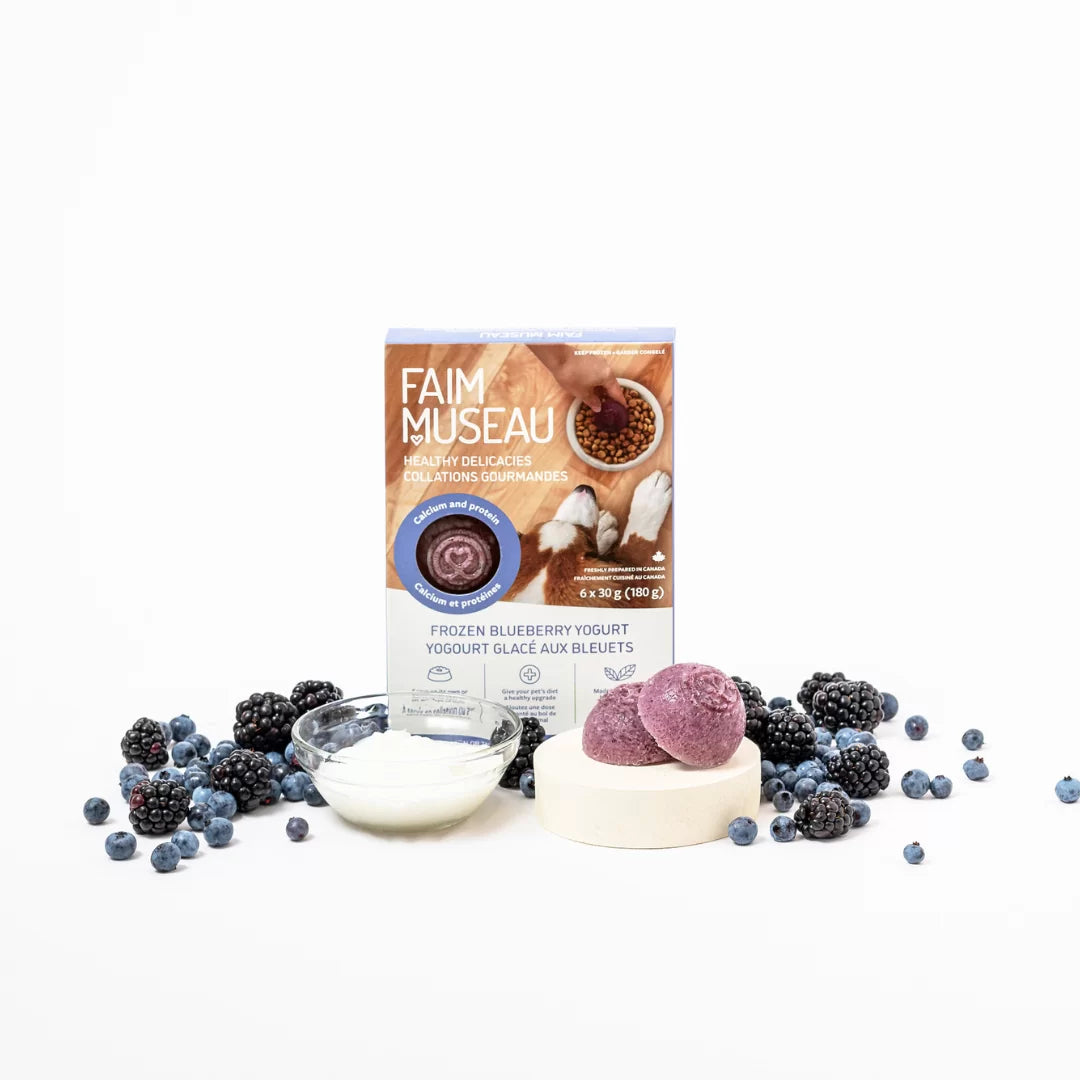 Blueberry Frozen Yogurt Meal Topper Pops