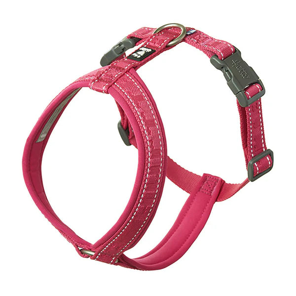 Casual Y-Harness in Ruby