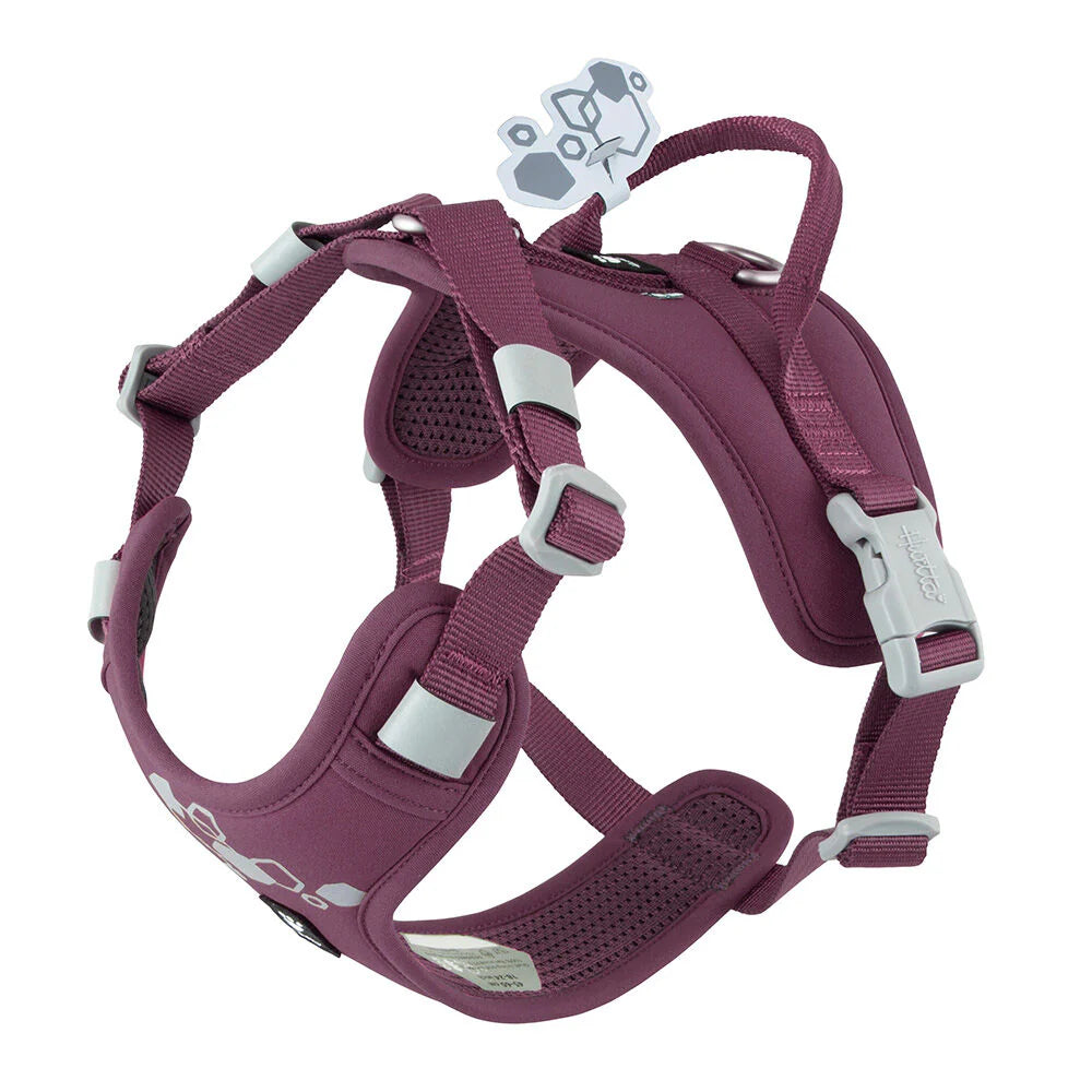 Weekend Warrior Harness II Eco - Eggplant